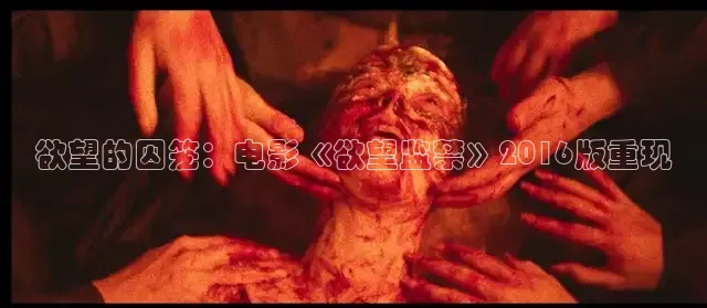 心糖vlog官网